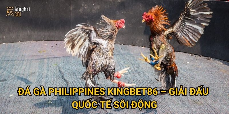 Đá gà Philippines Kingbet86 – Giải đấu quốc tế sôi động